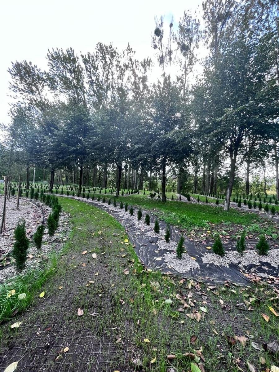 Zdjęcie w galerii na portalu naszwodzislaw.com: Radlin. Park Jordanowski w budowie wiadomości z regionu