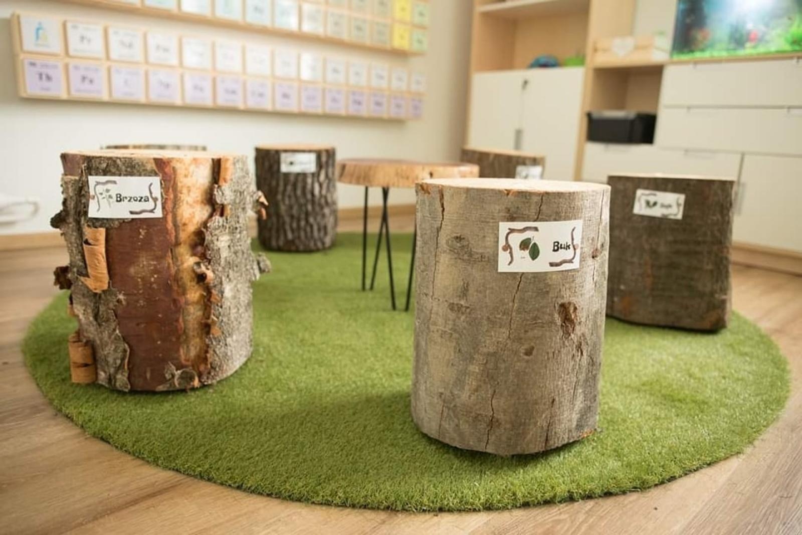 Zdjęcie w galerii na portalu naszwodzislaw.com: Wodzisław Śląski. Zielona Pracownia w ZS1 oficjalnie otwarta wiadomości z regionu