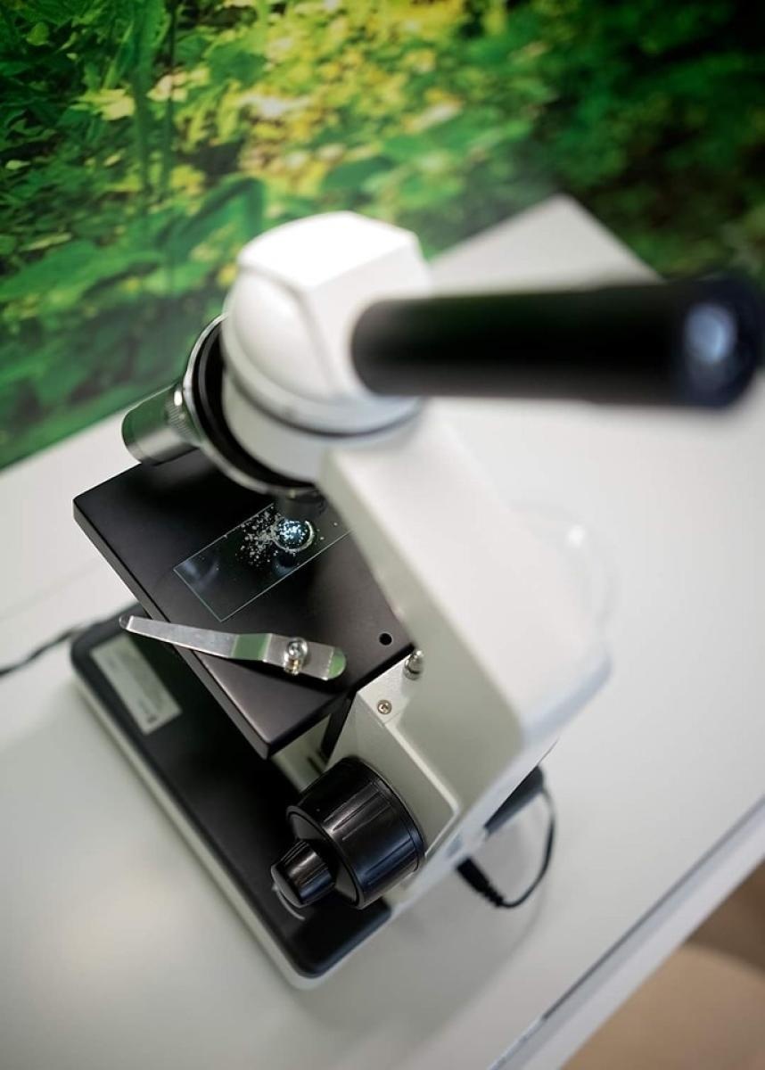 Zdjęcie w galerii na portalu naszwodzislaw.com: Wodzisław Śląski. Zielona Pracownia w ZS1 oficjalnie otwarta wiadomości z regionu