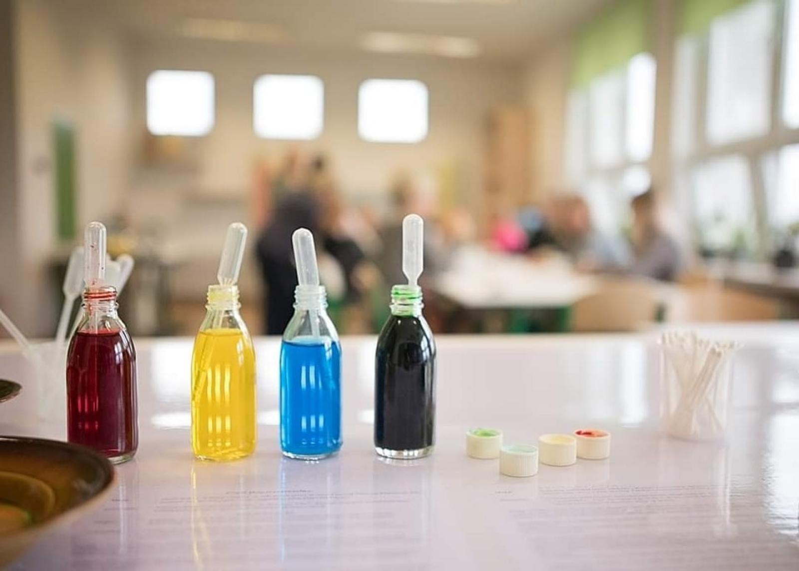 Zdjęcie w galerii na portalu naszwodzislaw.com: Wodzisław Śląski. Zielona Pracownia w ZS1 oficjalnie otwarta wiadomości z regionu