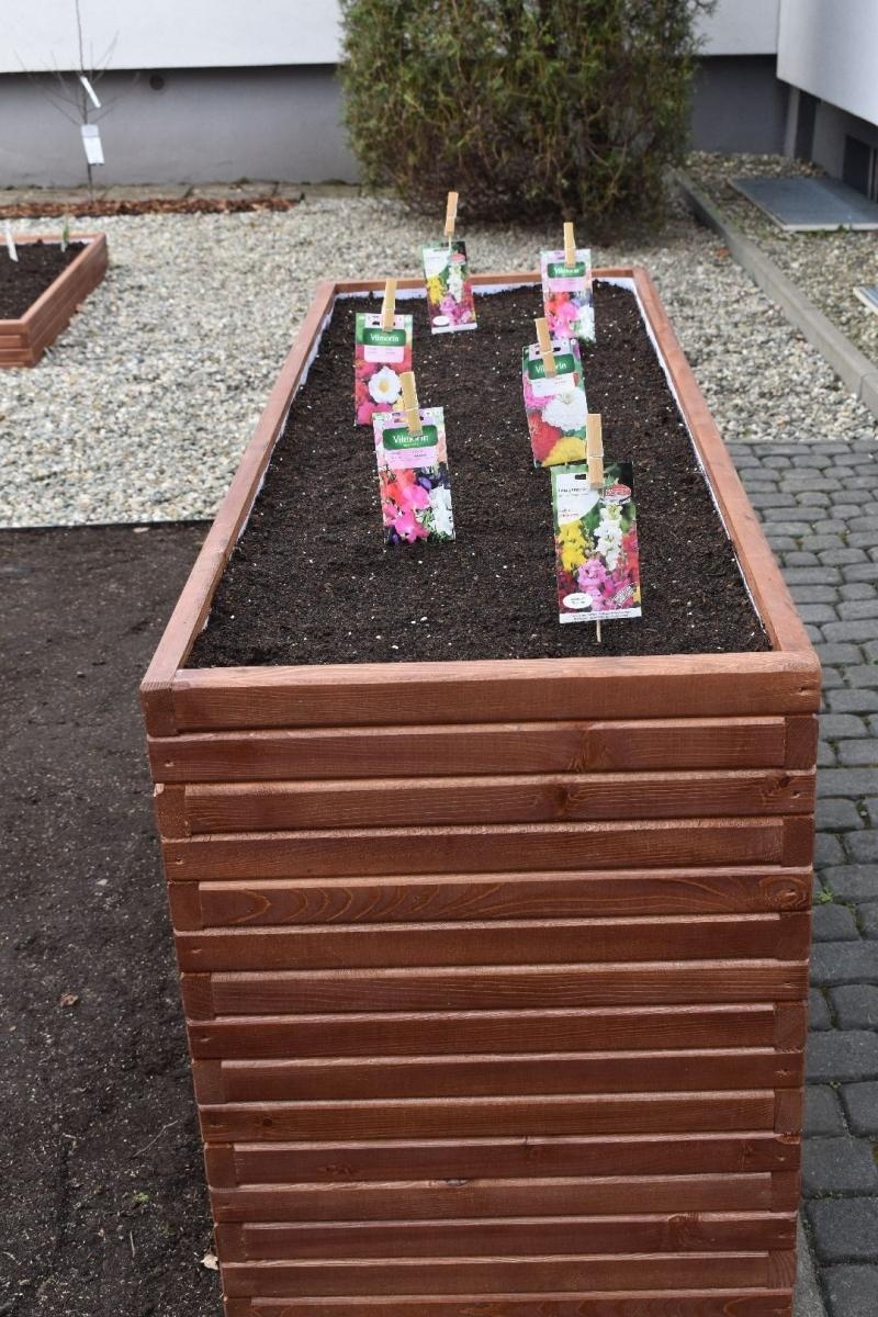 Zdjęcie w galerii na portalu naszwodzislaw.com: Ogród Zmysłów. Przy ZPSWR powstała ekopracownia pod chmurką [FOTO] wiadomości z regionu