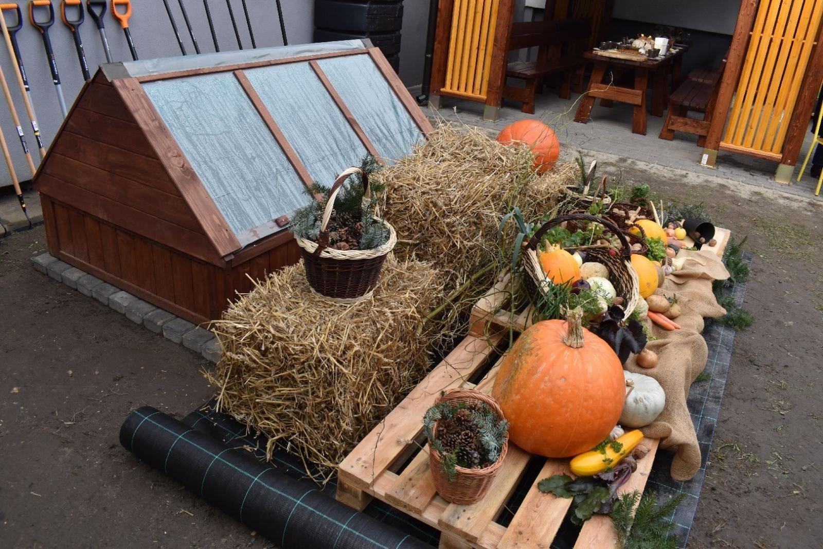 Zdjęcie w galerii na portalu naszwodzislaw.com: Ogród Zmysłów. Przy ZPSWR powstała ekopracownia pod chmurką [FOTO] wiadomości z regionu