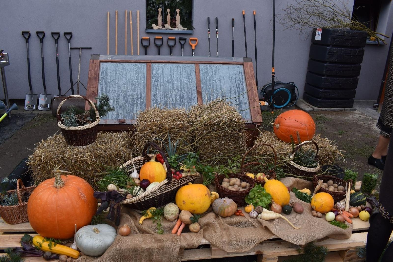 Zdjęcie w galerii na portalu naszwodzislaw.com: Ogród Zmysłów. Przy ZPSWR powstała ekopracownia pod chmurką [FOTO] wiadomości z regionu