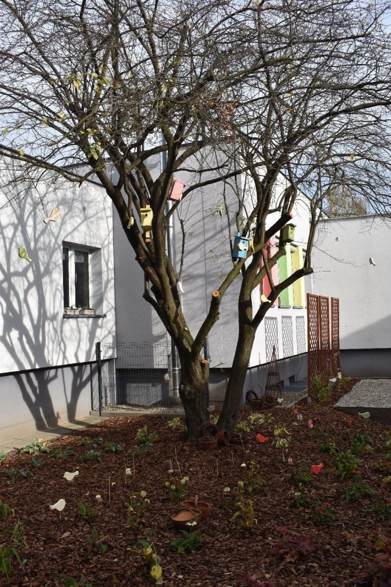 Zdjęcie w galerii na portalu naszwodzislaw.com: Ogród Zmysłów. Przy ZPSWR powstała ekopracownia pod chmurką [FOTO] wiadomości z regionu