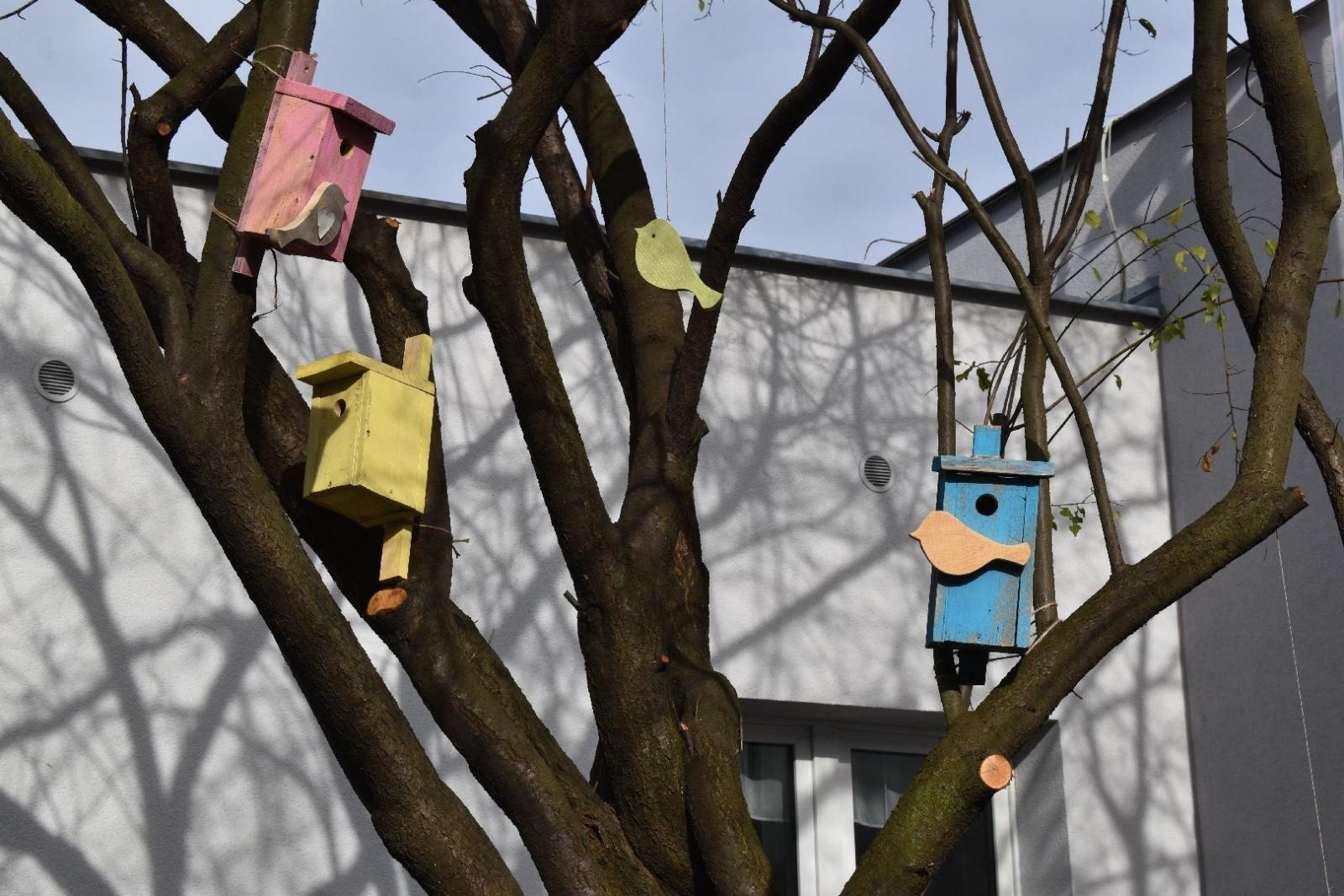 Zdjęcie w galerii na portalu naszwodzislaw.com: Ogród Zmysłów. Przy ZPSWR powstała ekopracownia pod chmurką [FOTO] wiadomości z regionu