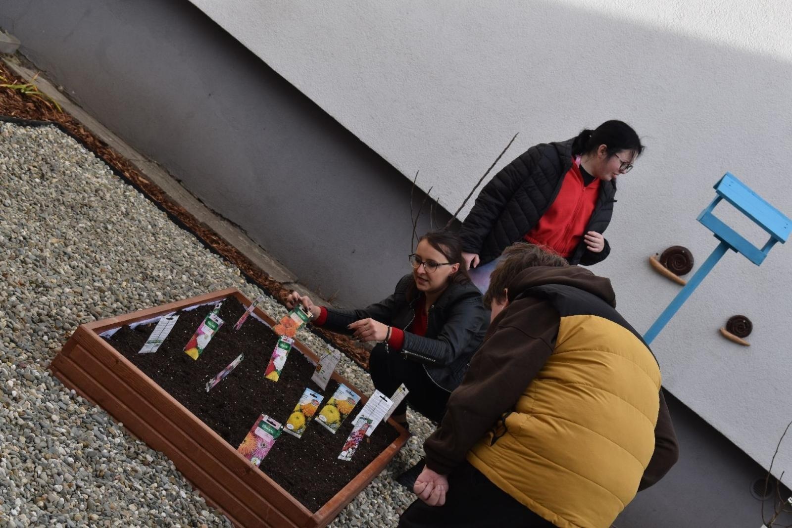 Zdjęcie w galerii na portalu naszwodzislaw.com: Ogród Zmysłów. Przy ZPSWR powstała ekopracownia pod chmurką [FOTO] wiadomości z regionu