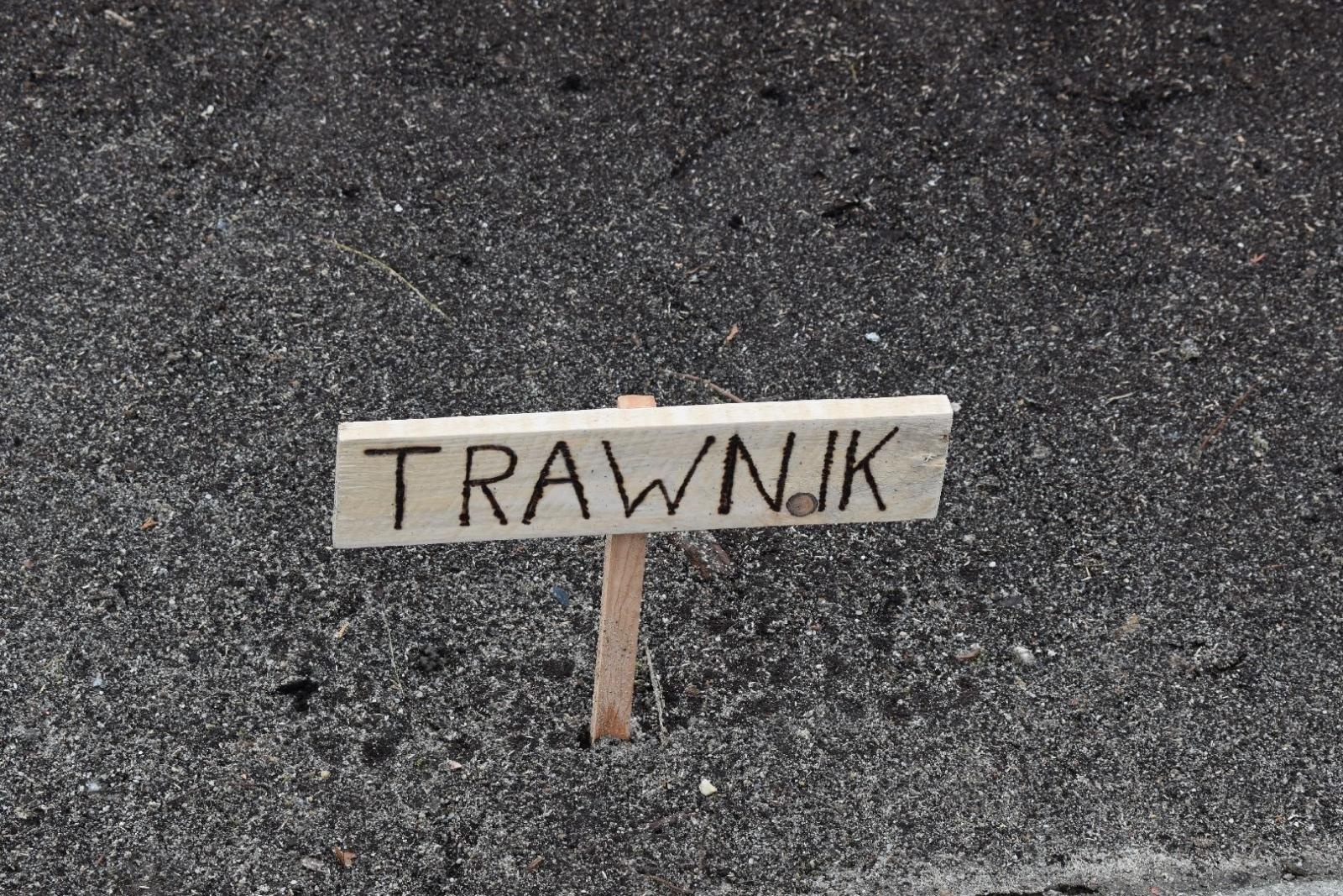 Zdjęcie w galerii na portalu naszwodzislaw.com: Ogród Zmysłów. Przy ZPSWR powstała ekopracownia pod chmurką [FOTO] wiadomości z regionu