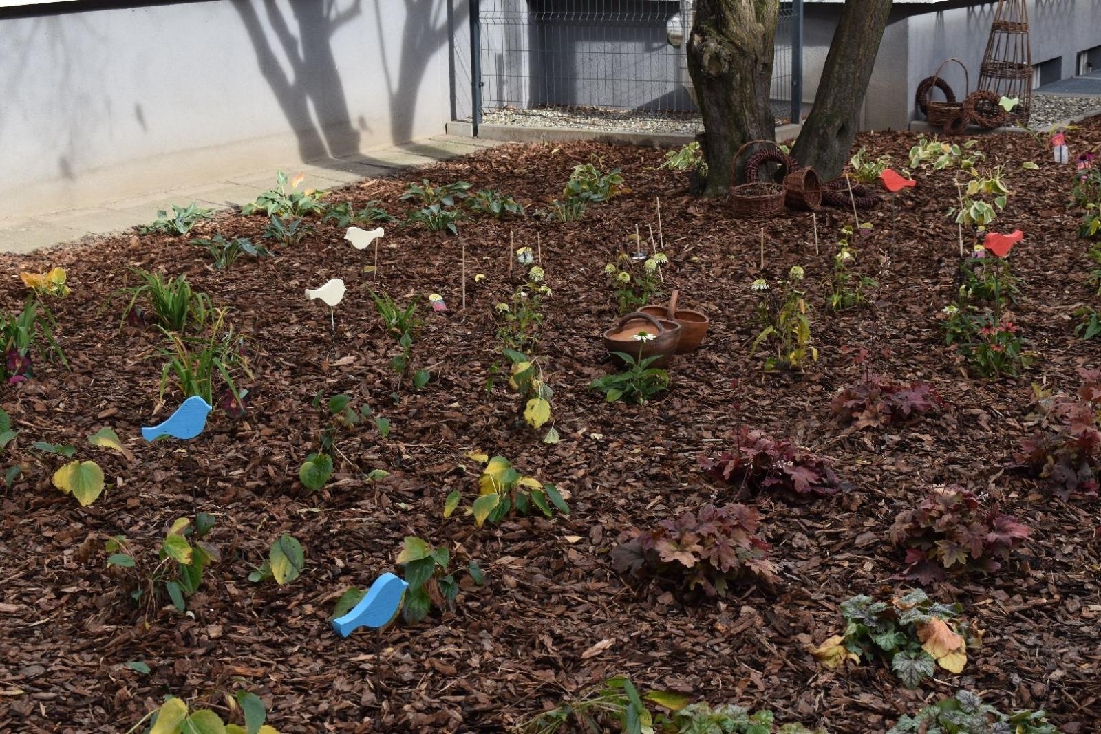 Zdjęcie w galerii na portalu naszwodzislaw.com: Ogród Zmysłów. Przy ZPSWR powstała ekopracownia pod chmurką [FOTO] wiadomości z regionu