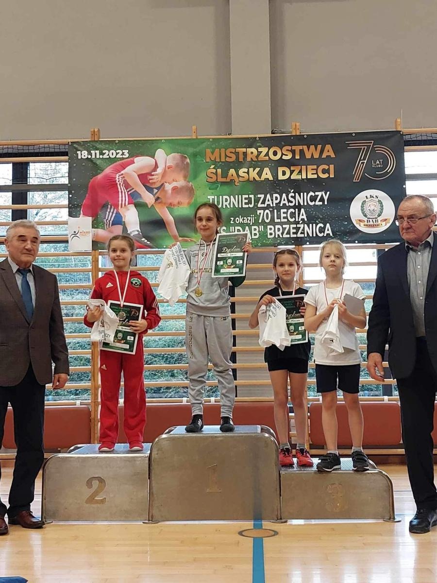 Zdjęcie w galerii na portalu naszwodzislaw.com: Udane mistrzostwa Śląska w zapasach dla Akademii Top Team wiadomości z regionu