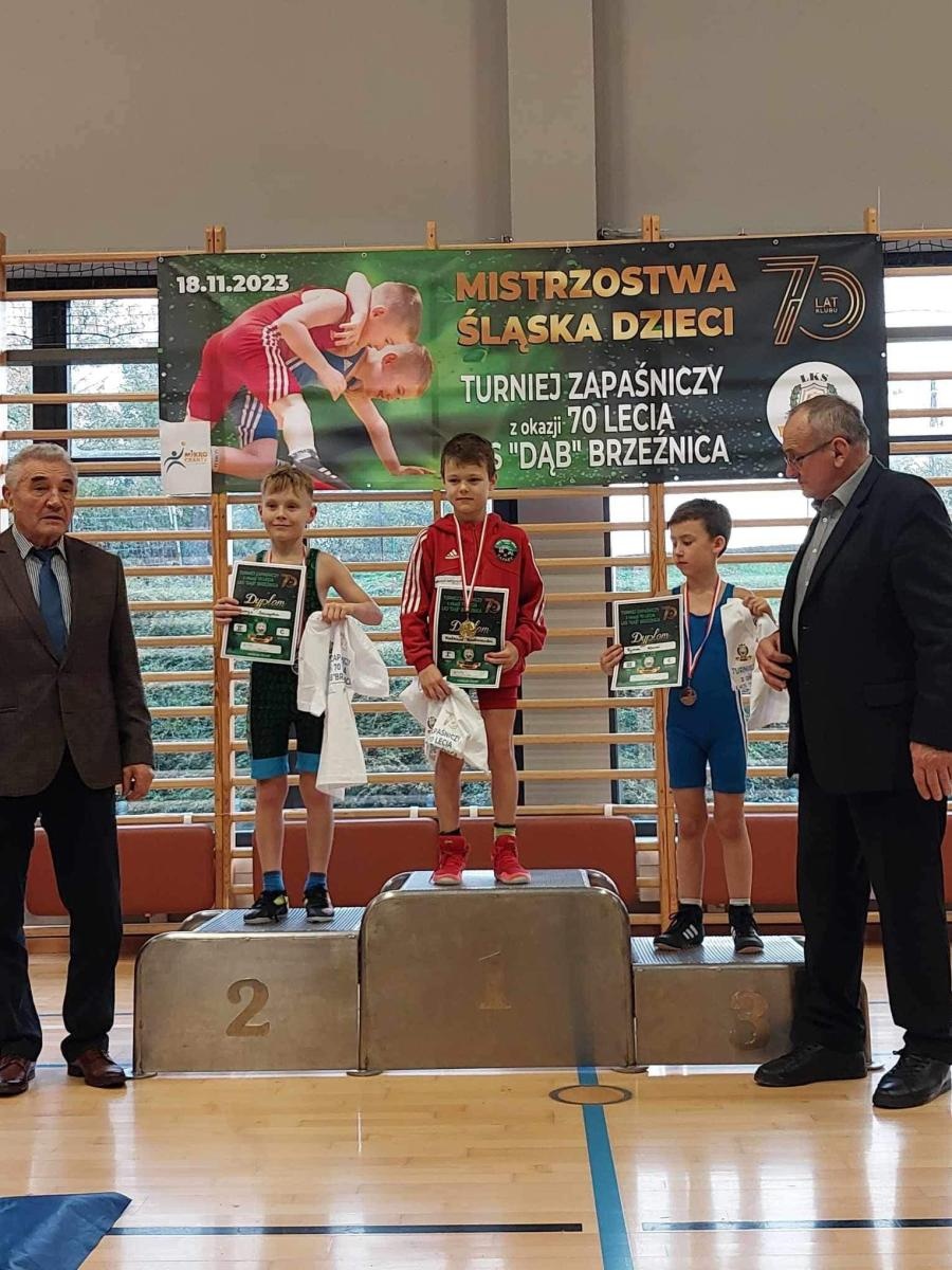 Zdjęcie w galerii na portalu naszwodzislaw.com: Udane mistrzostwa Śląska w zapasach dla Akademii Top Team wiadomości z regionu