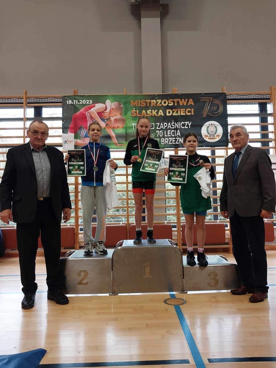 Zdjęcie w galerii na portalu naszwodzislaw.com: Udane mistrzostwa Śląska w zapasach dla Akademii Top Team wiadomości z regionu