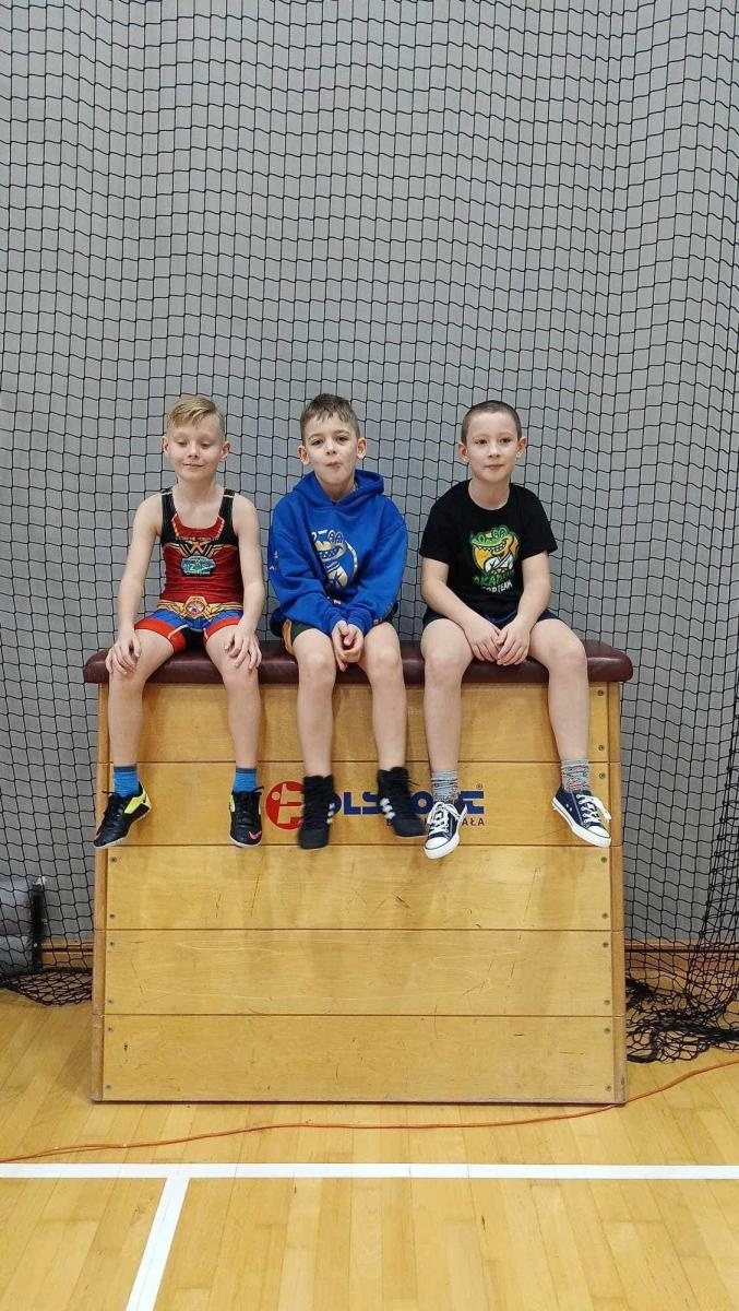 Zdjęcie w galerii na portalu naszwodzislaw.com: Udane mistrzostwa Śląska w zapasach dla Akademii Top Team wiadomości z regionu