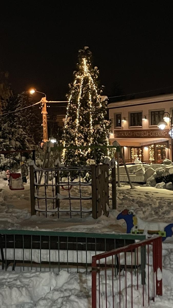 Zdjęcie w galerii na portalu naszwodzislaw.com: Zawadzka choinka już świeci wiadomości z regionu