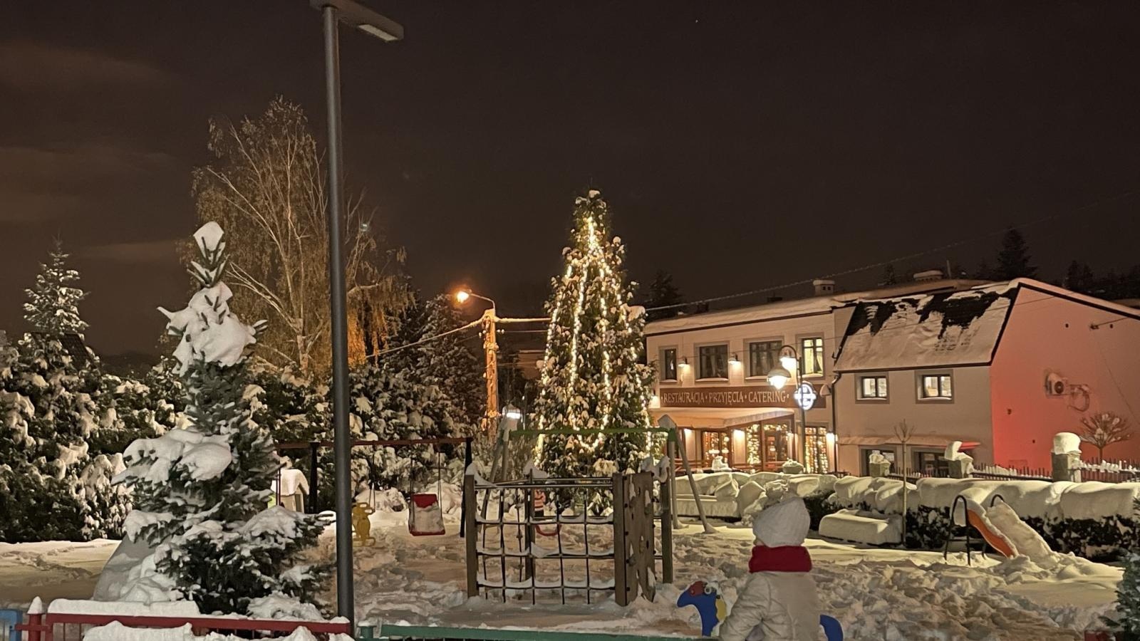 Zdjęcie w galerii na portalu naszwodzislaw.com: Zawadzka choinka już świeci wiadomości z regionu