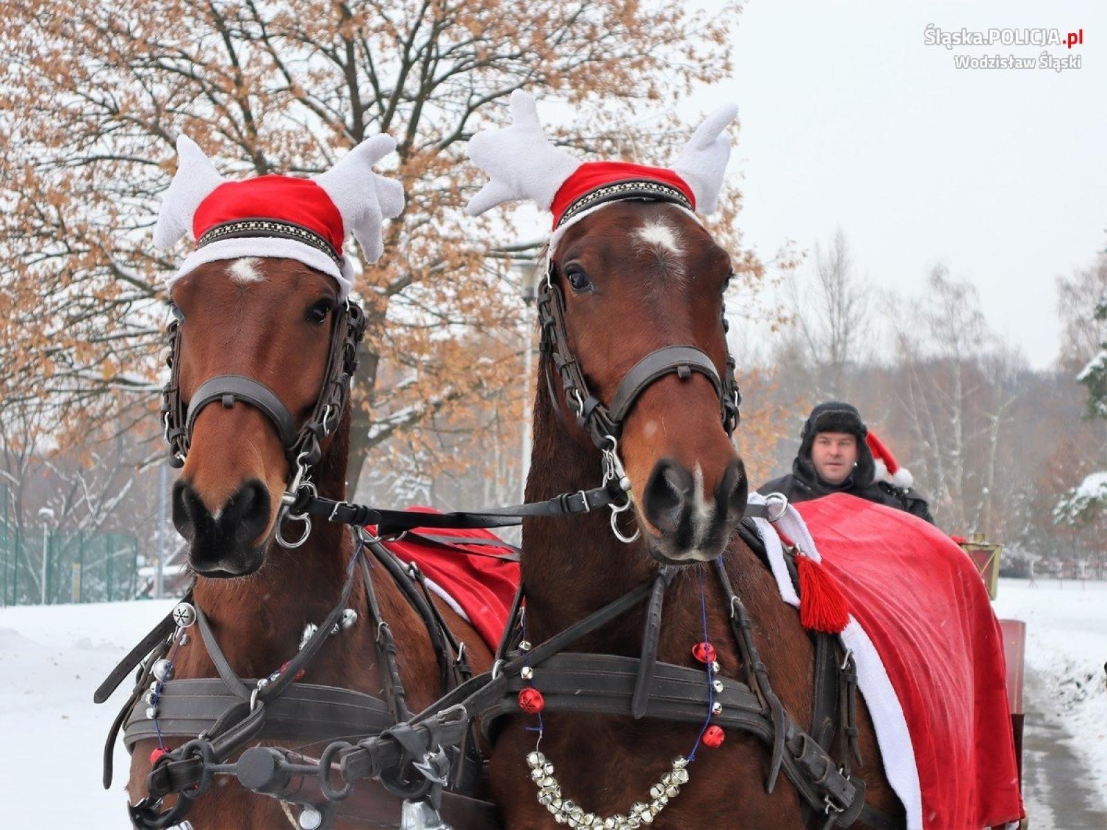Zdjęcie w galerii na portalu naszwodzislaw.com: Policjanci zadbali, by Mikołaj dotarł do dzieci na czas wiadomości z regionu
