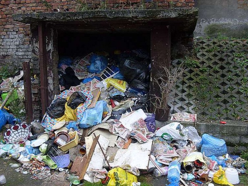 Zdjęcie w galerii na portalu naszwodzislaw.com: Po śmieciach biegały szczury wiadomości z regionu