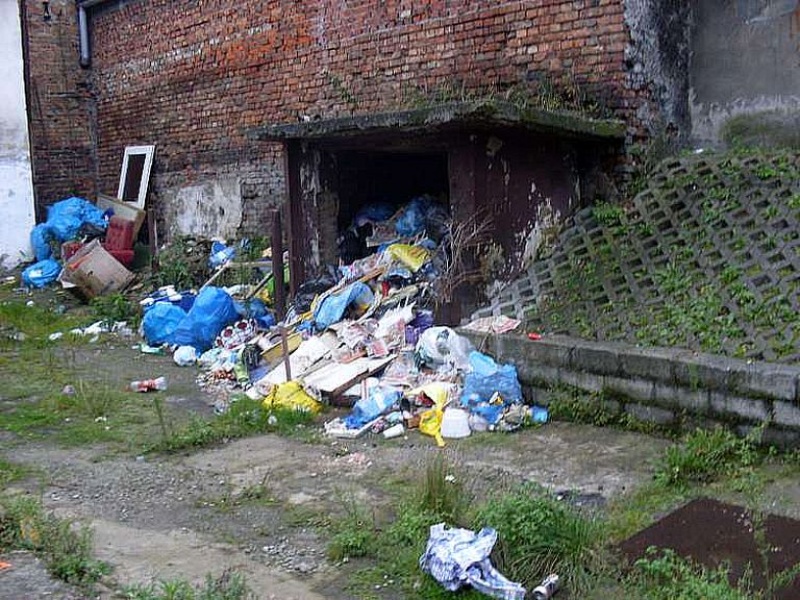 Zdjęcie w galerii na portalu naszwodzislaw.com: Po śmieciach biegały szczury wiadomości z regionu