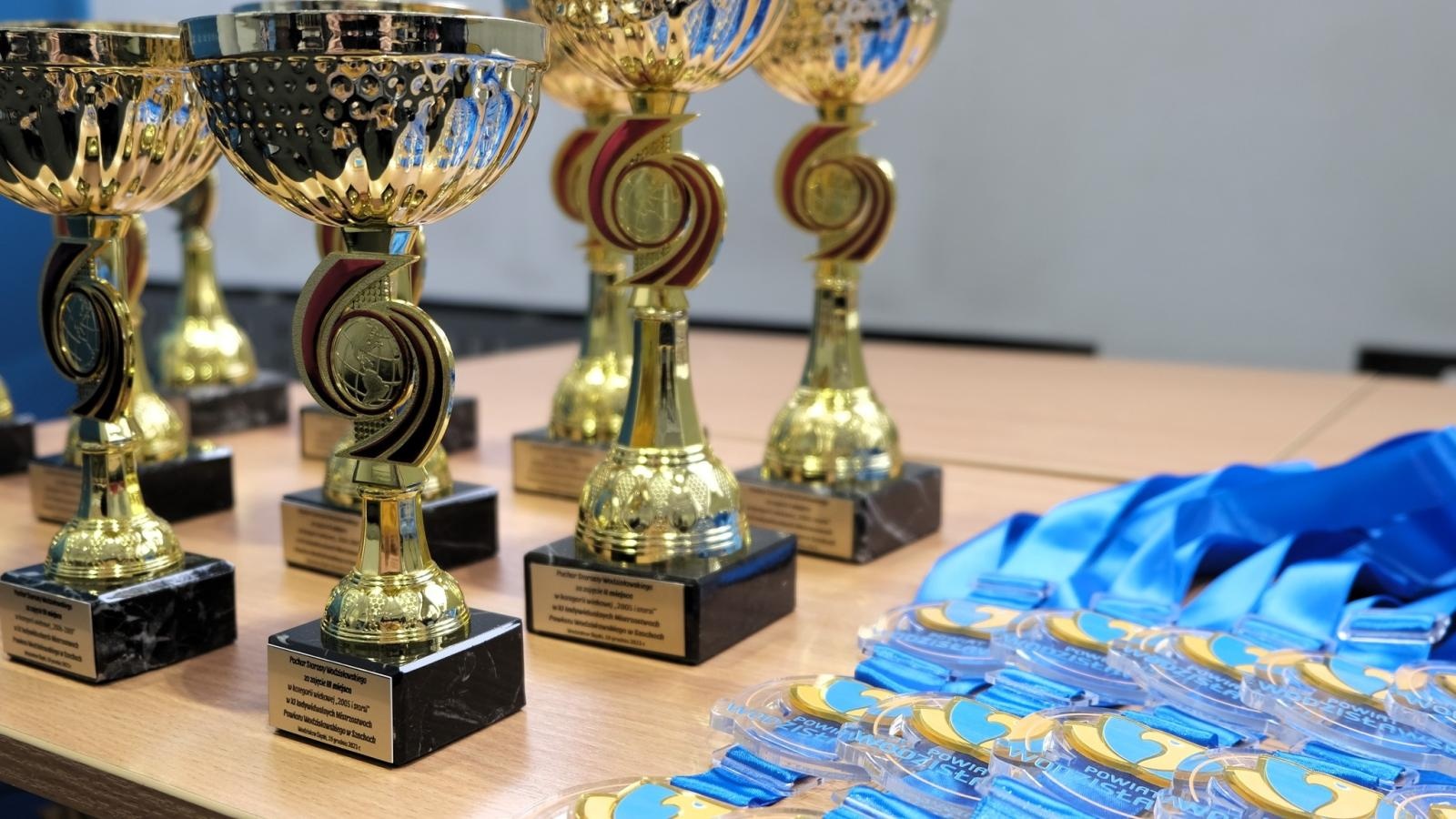 Zdjęcie w galerii na portalu naszwodzislaw.com: Indywidualne Mistrzostwa Powiatu Wodzisławskiego w szachach za nami wiadomości z regionu