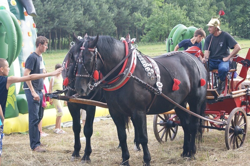 Zdjęcie w galerii na portalu naszwodzislaw.com: Obchody 100-lecia OSP Łaziska wiadomości z regionu