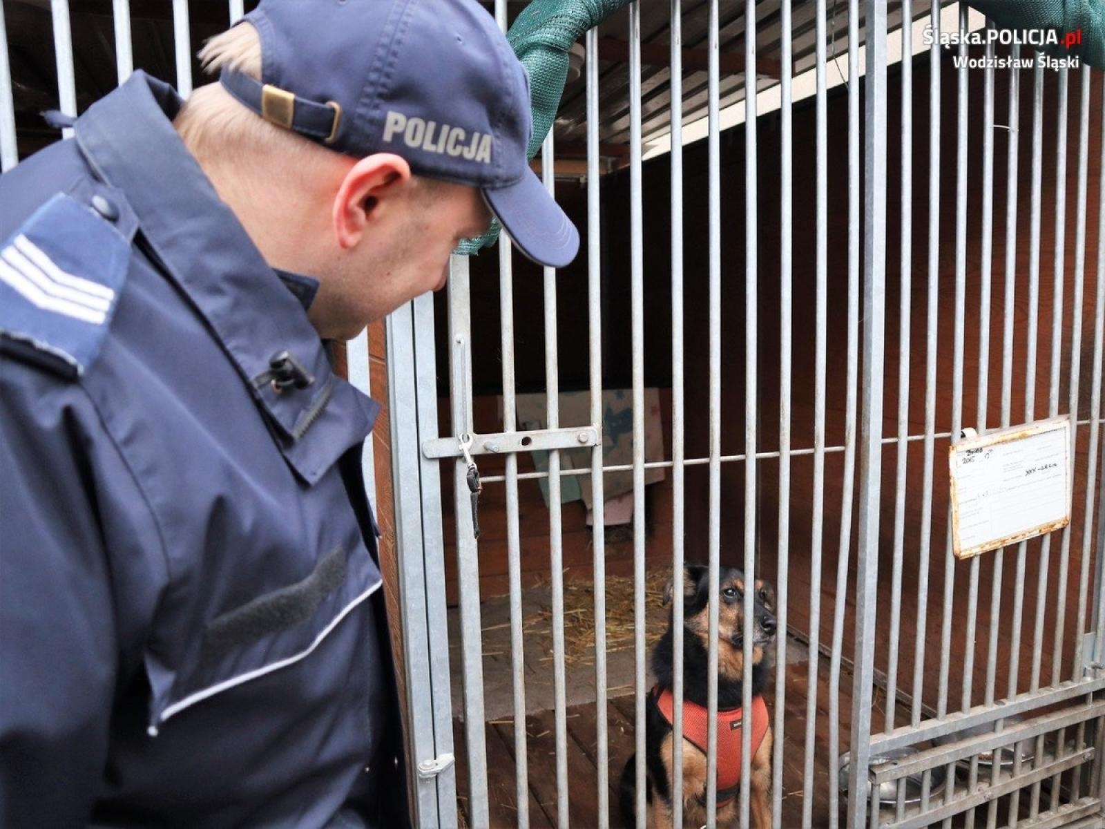 Zdjęcie w galerii na portalu naszwodzislaw.com: Paka dla psiaka. Wodzisławscy policjanci wzięli udział w wyjątkowej zbiórce wiadomości z regionu