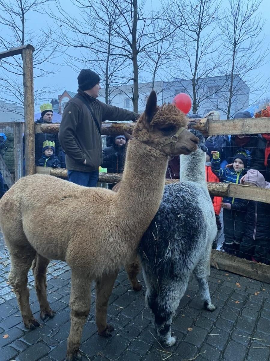 Zdjęcie w galerii na portalu naszwodzislaw.com: Orszak Trzech Króli powrócił do Rydułtów [FOTO] wiadomości z regionu