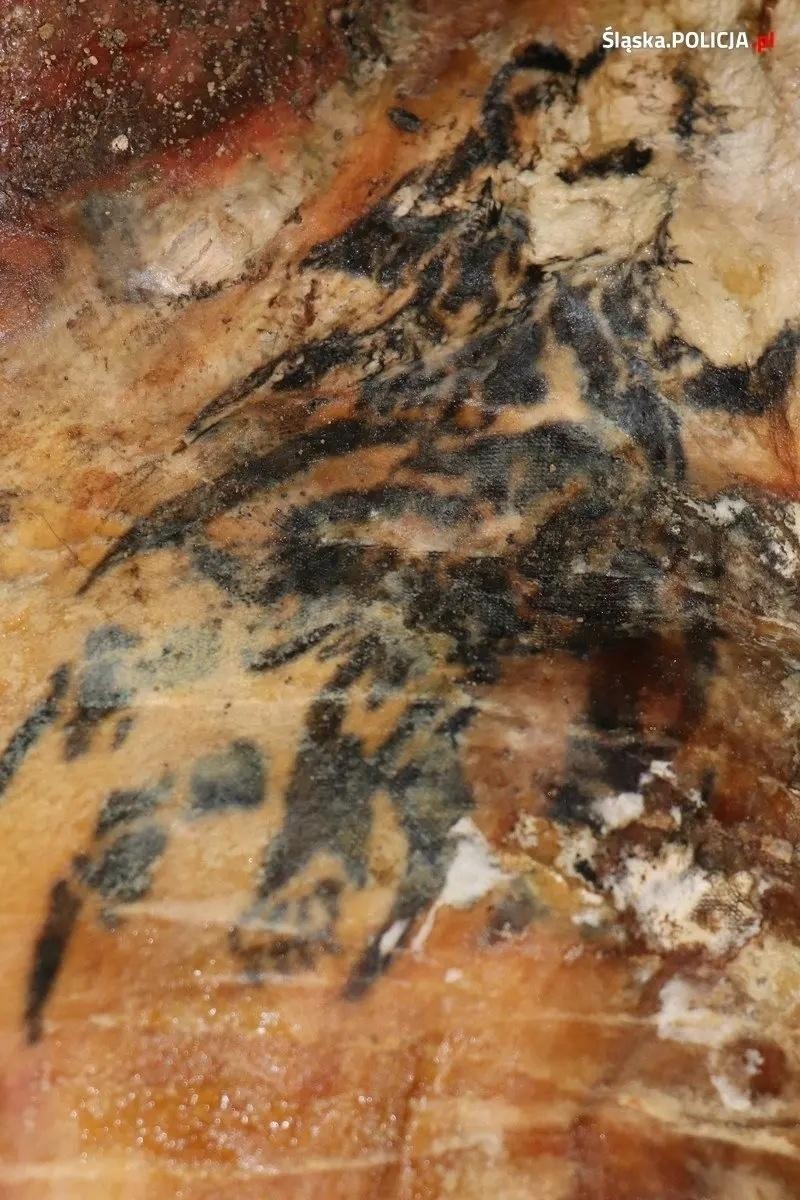 Zdjęcie w galerii na portalu naszwodzislaw.com: Śląska policja prosi o pomoc w identyfikacji mężczyzny [UWAGA DRASTYCZNE ZDJĘCIA] wiadomości z regionu