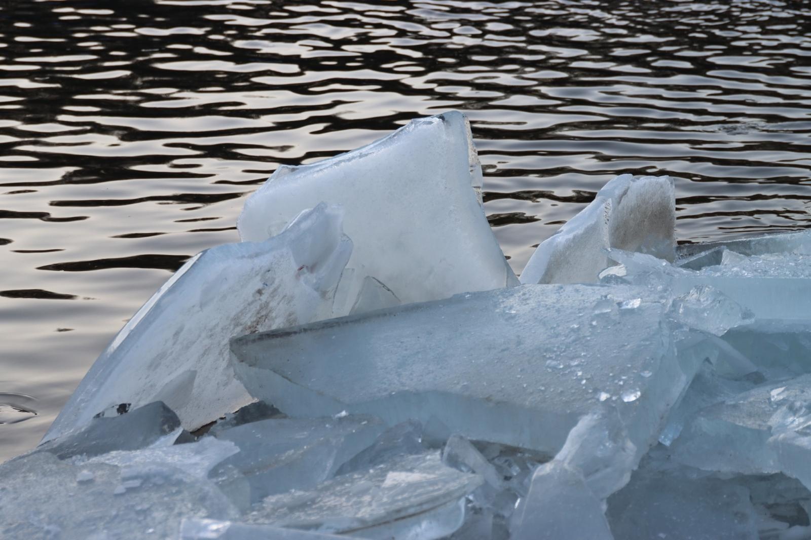 Zdjęcie w galerii na portalu naszwodzislaw.com: Zimno im niestraszne. Tłumy na imprezie Pomaganie przez morsowanie wiadomości z regionu