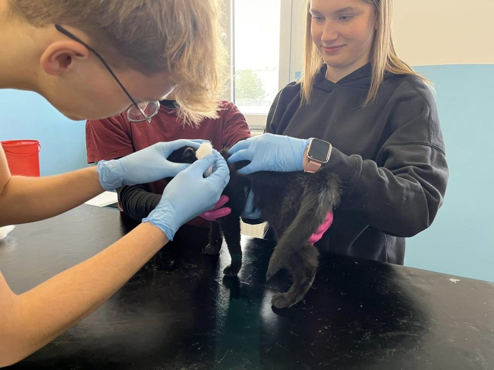 Zdjęcie w galerii na portalu naszwodzislaw.com: W Powiecie Wodzisławskim ruszyły Zawodowe Debiuty [FOTO] wiadomości z regionu