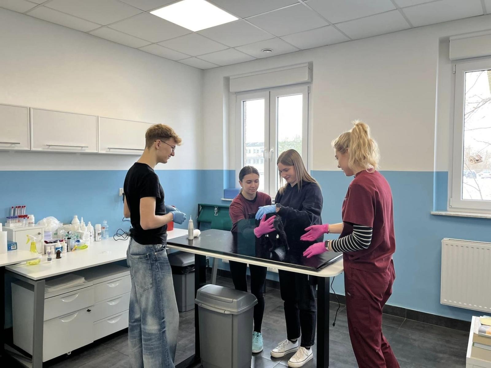 Zdjęcie w galerii na portalu naszwodzislaw.com: W Powiecie Wodzisławskim ruszyły Zawodowe Debiuty [FOTO] wiadomości z regionu