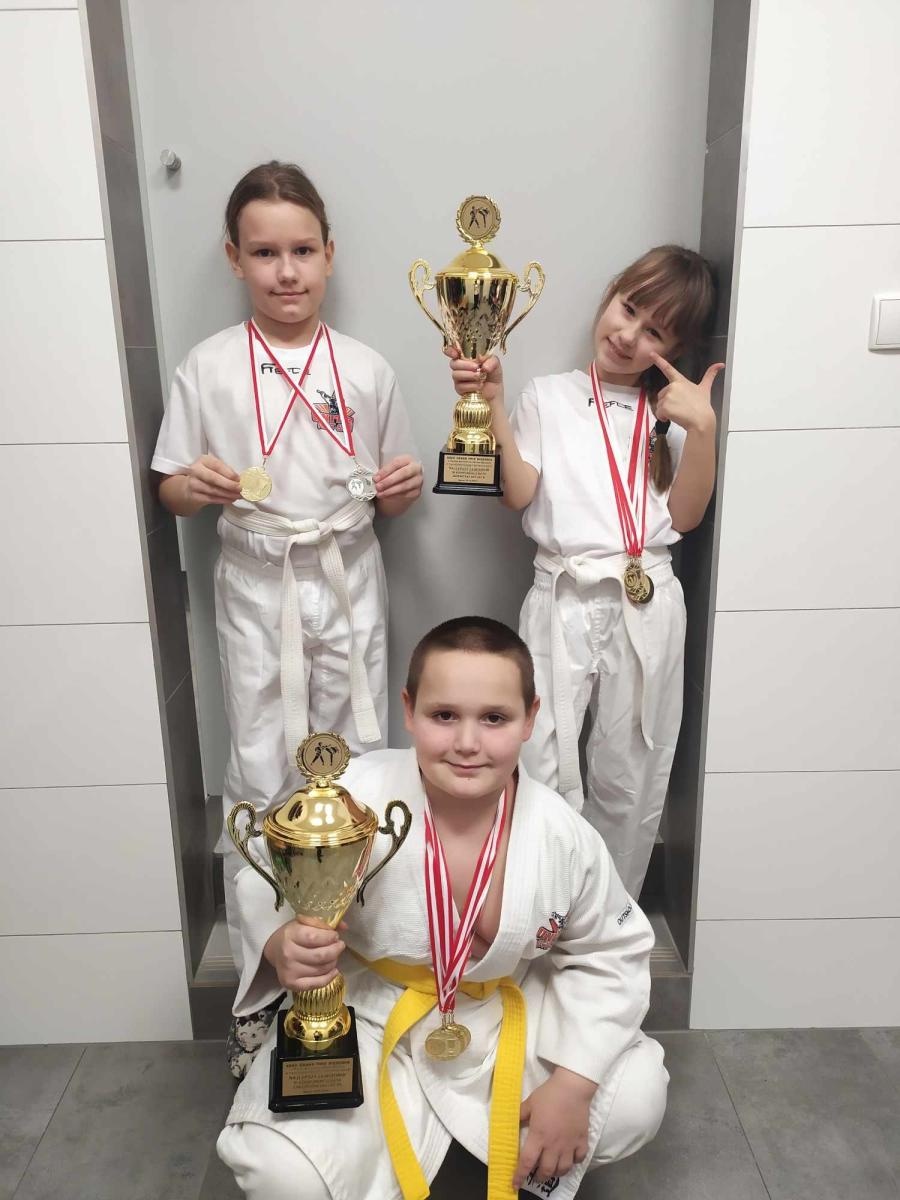 Zdjęcie w galerii na portalu naszwodzislaw.com: Worek medali zawodników United Fight Club wiadomości z regionu