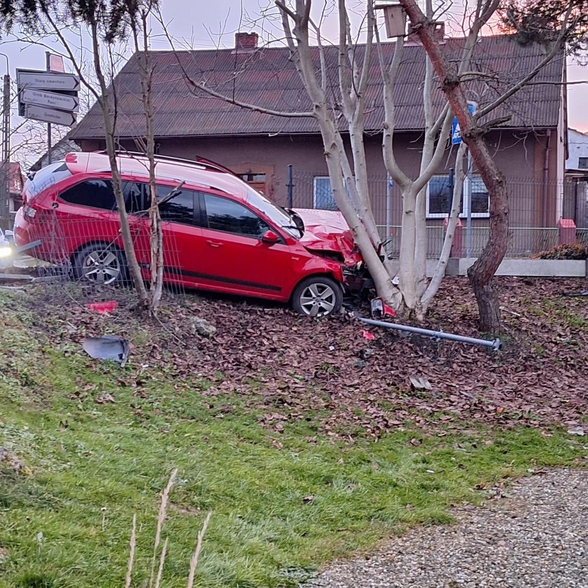Zdjęcie w galerii na portalu naszwodzislaw.com: Zamyślił się i wjechał w drzewo. Niebezpieczne zdarzenie w Syryni wiadomości z regionu