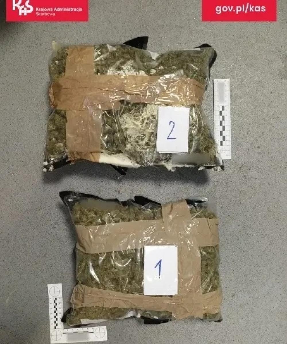 Zdjęcie w galerii na portalu naszwodzislaw.com: Czworonożny funkcjonariusz Kodi ujawnił przemyt wiadomości z regionu