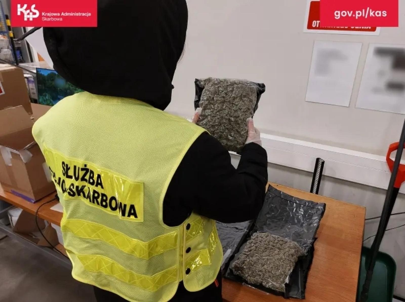 Zdjęcie w galerii na portalu naszwodzislaw.com: Czworonożny funkcjonariusz Kodi ujawnił przemyt wiadomości z regionu