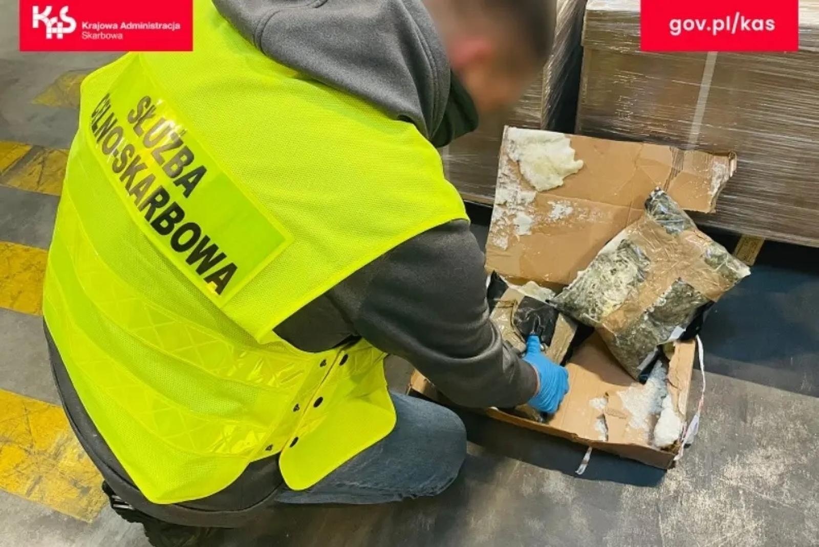 Zdjęcie w galerii na portalu naszwodzislaw.com: Czworonożny funkcjonariusz Kodi ujawnił przemyt wiadomości z regionu