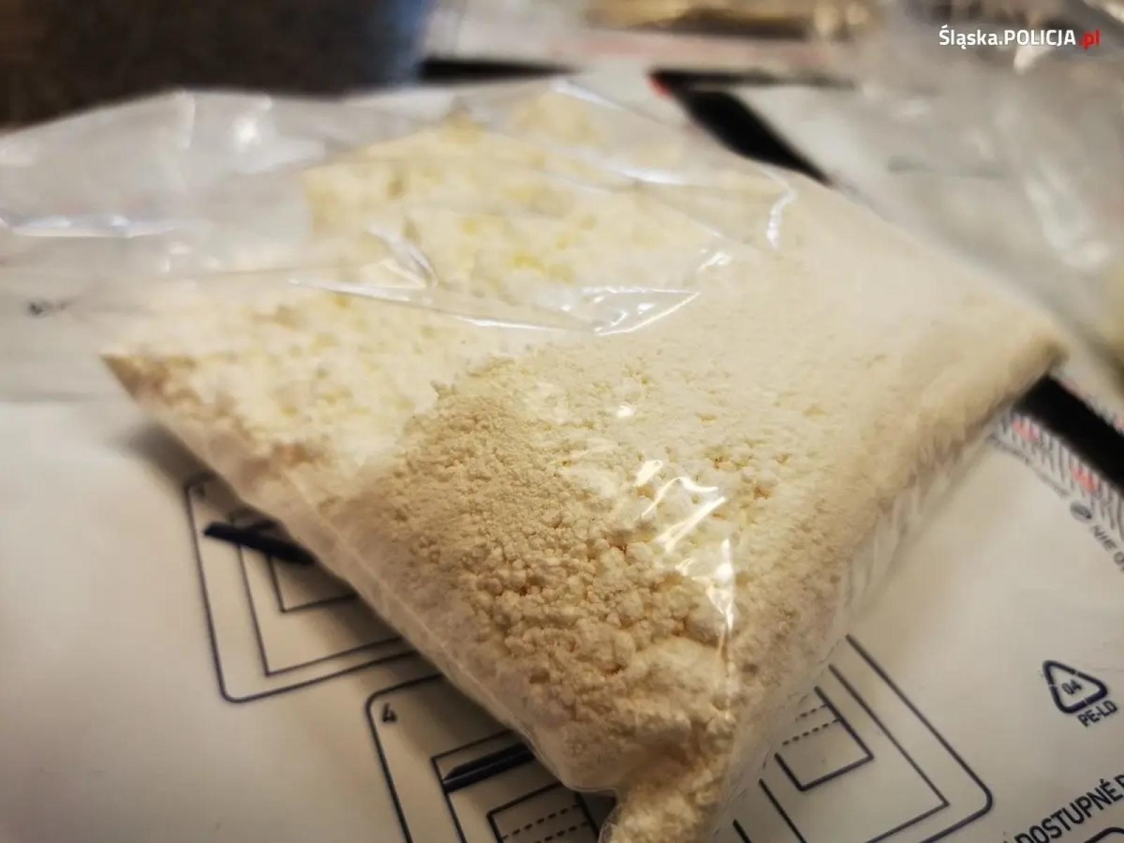 Zdjęcie w galerii na portalu naszwodzislaw.com: Policja uderzyła w gang narkotykowy pseudokibiców wiadomości z regionu