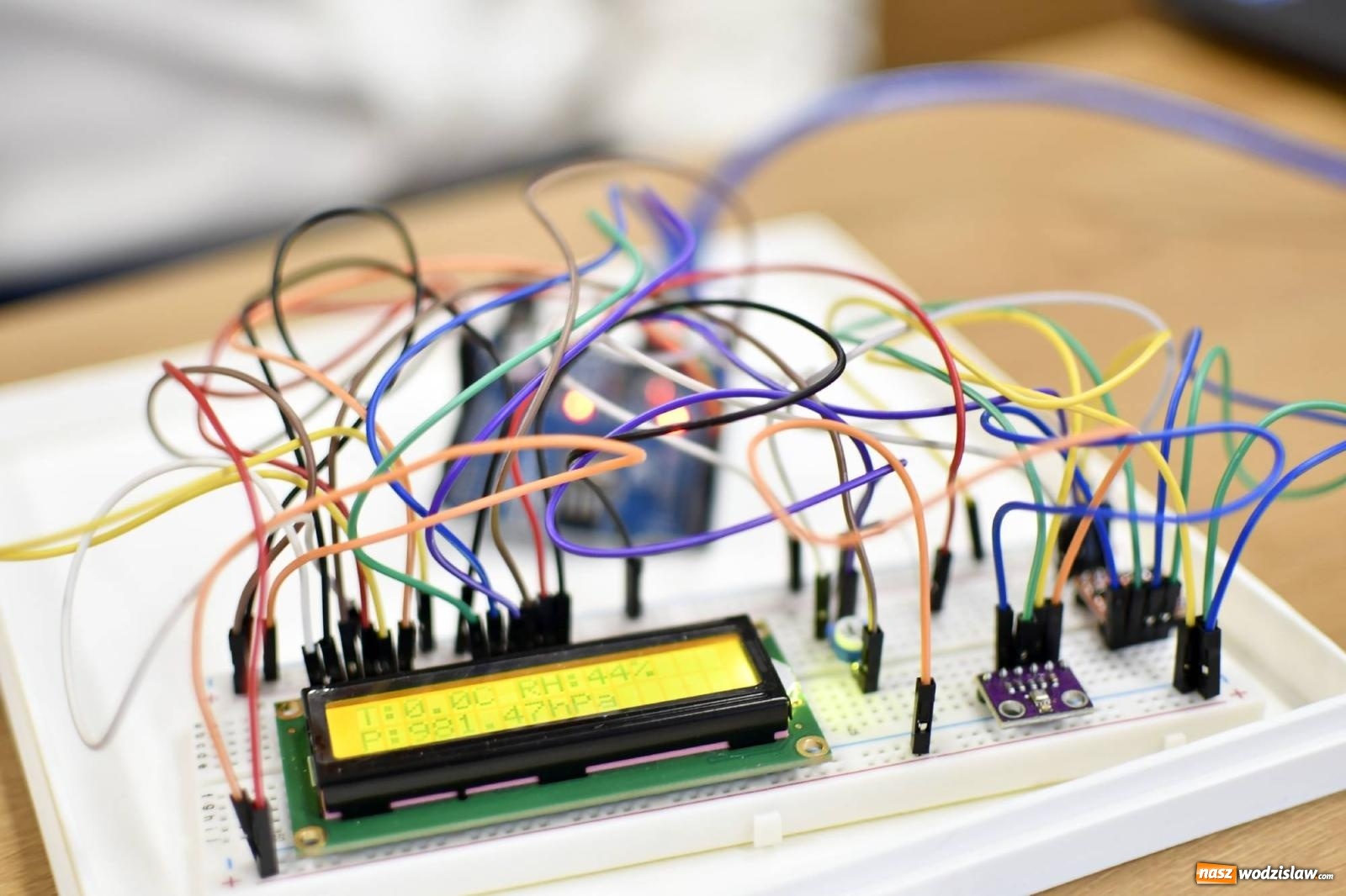 Zdjęcie w galerii na portalu naszwodzislaw.com: Rektor raciborskiej ANS: jesteście architektami nowoczesnego społeczeństwa wiadomości z regionu