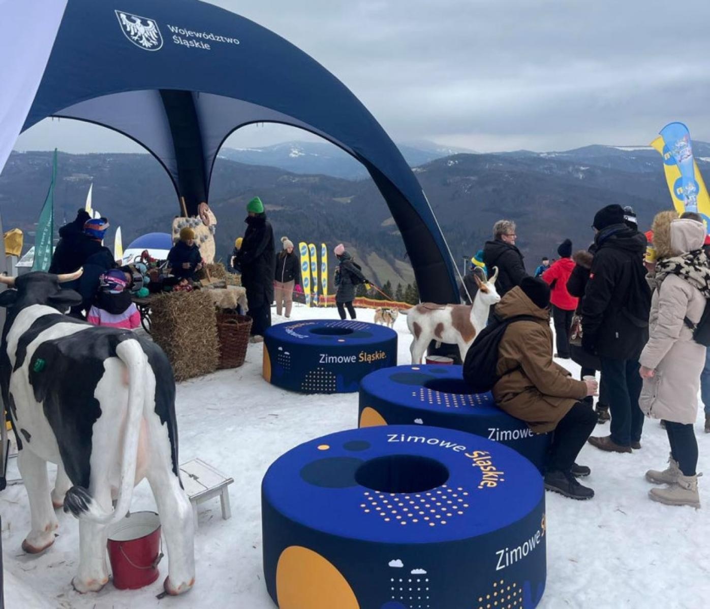 Zdjęcie w galerii na portalu naszwodzislaw.com: Ferie w Beskidach – druga odsłona wiadomości z regionu