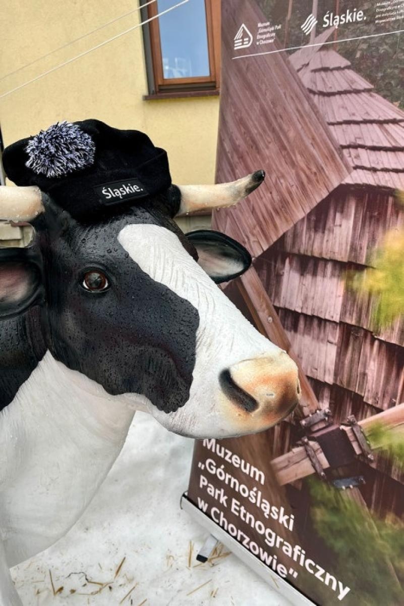 Zdjęcie w galerii na portalu naszwodzislaw.com: Ferie w Beskidach – druga odsłona wiadomości z regionu