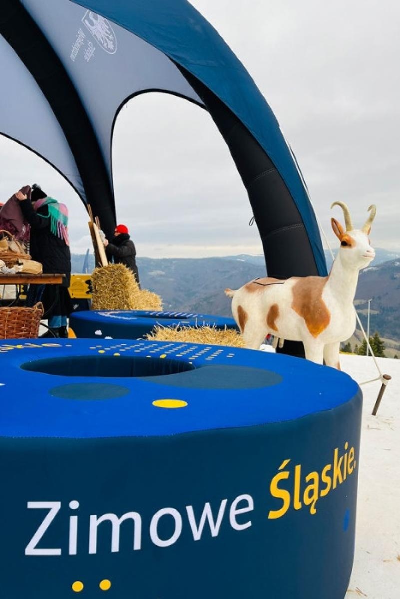 Zdjęcie w galerii na portalu naszwodzislaw.com: Ferie w Beskidach – druga odsłona wiadomości z regionu