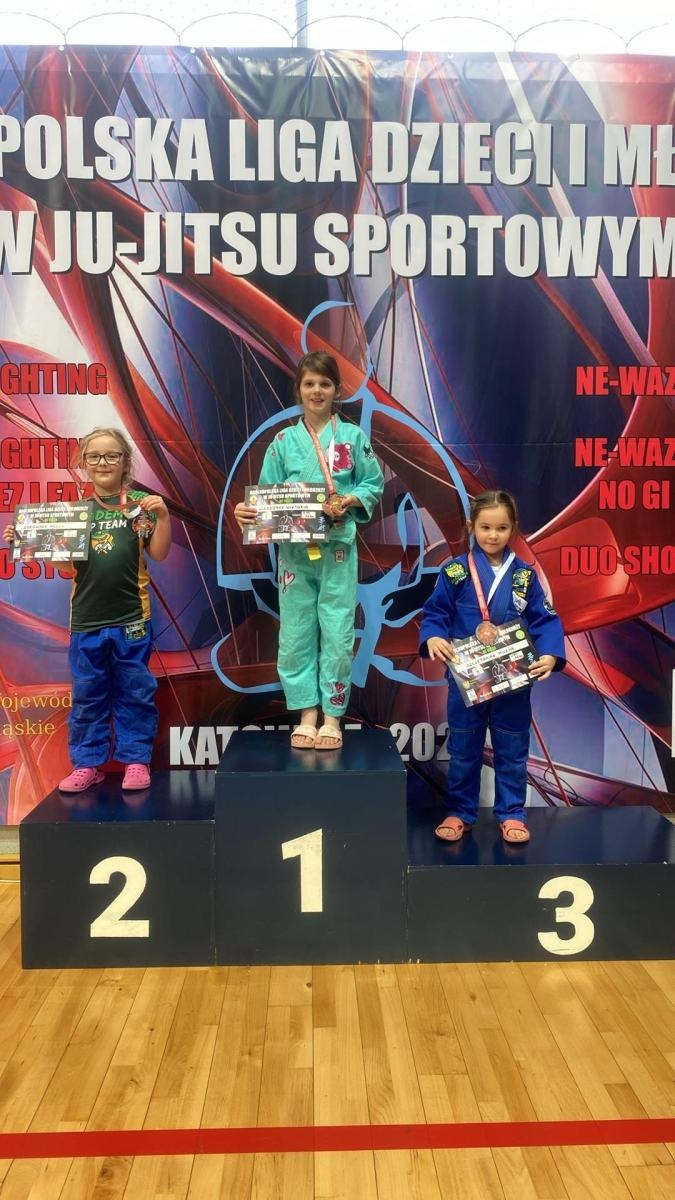 Zdjęcie w galerii na portalu naszwodzislaw.com: Akademia Top Team zdominowała Ligę dzieci i młodzieży w Katowicach wiadomości z regionu