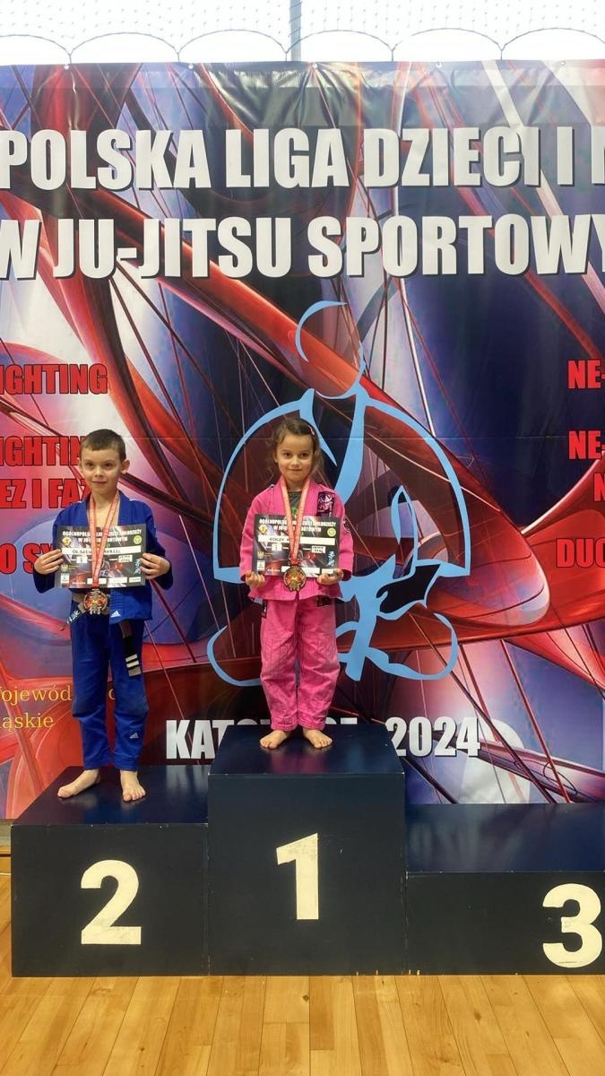 Zdjęcie w galerii na portalu naszwodzislaw.com: Akademia Top Team zdominowała Ligę dzieci i młodzieży w Katowicach wiadomości z regionu