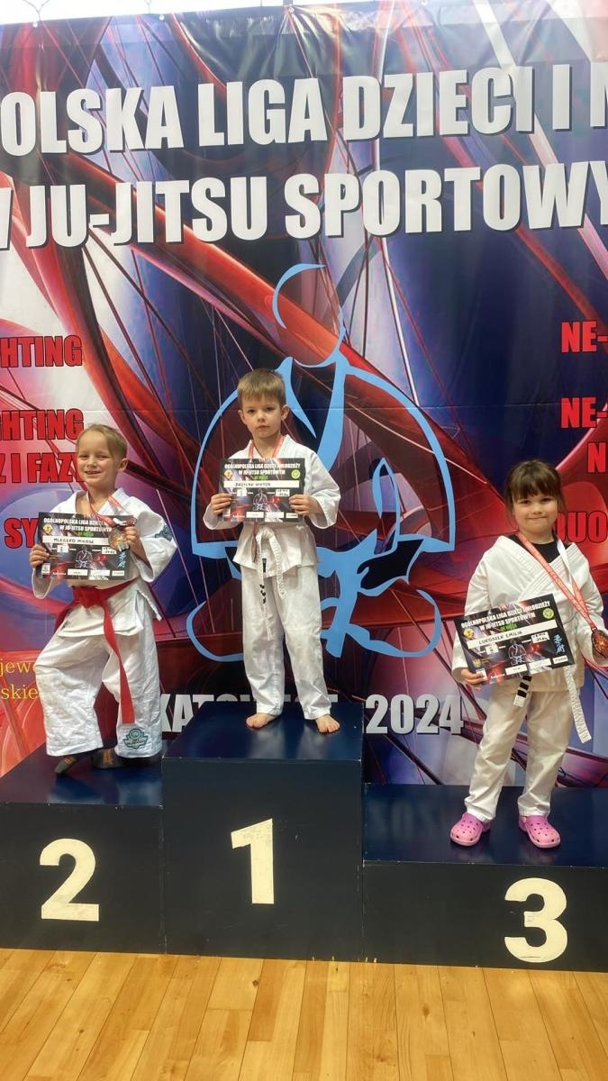 Zdjęcie w galerii na portalu naszwodzislaw.com: Akademia Top Team zdominowała Ligę dzieci i młodzieży w Katowicach wiadomości z regionu