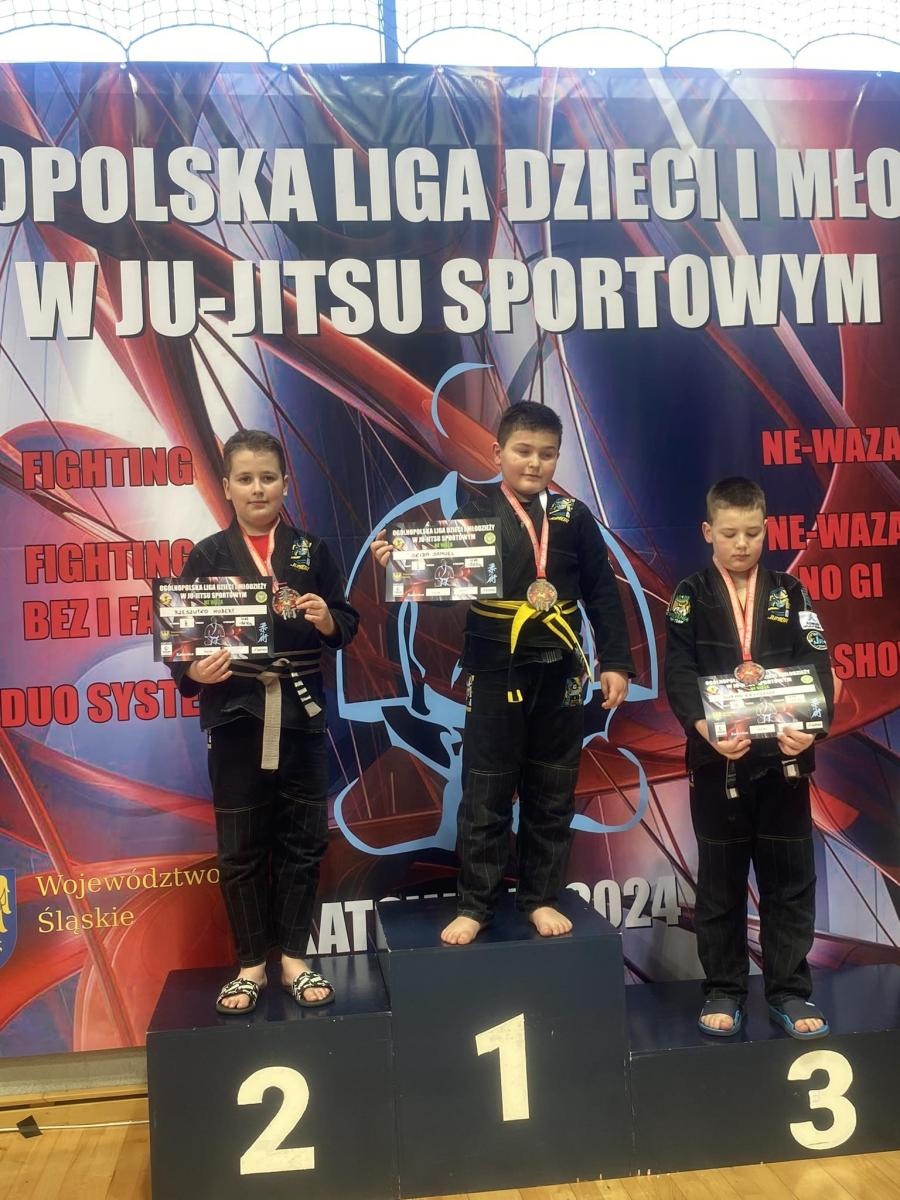 Zdjęcie w galerii na portalu naszwodzislaw.com: Akademia Top Team zdominowała Ligę dzieci i młodzieży w Katowicach wiadomości z regionu