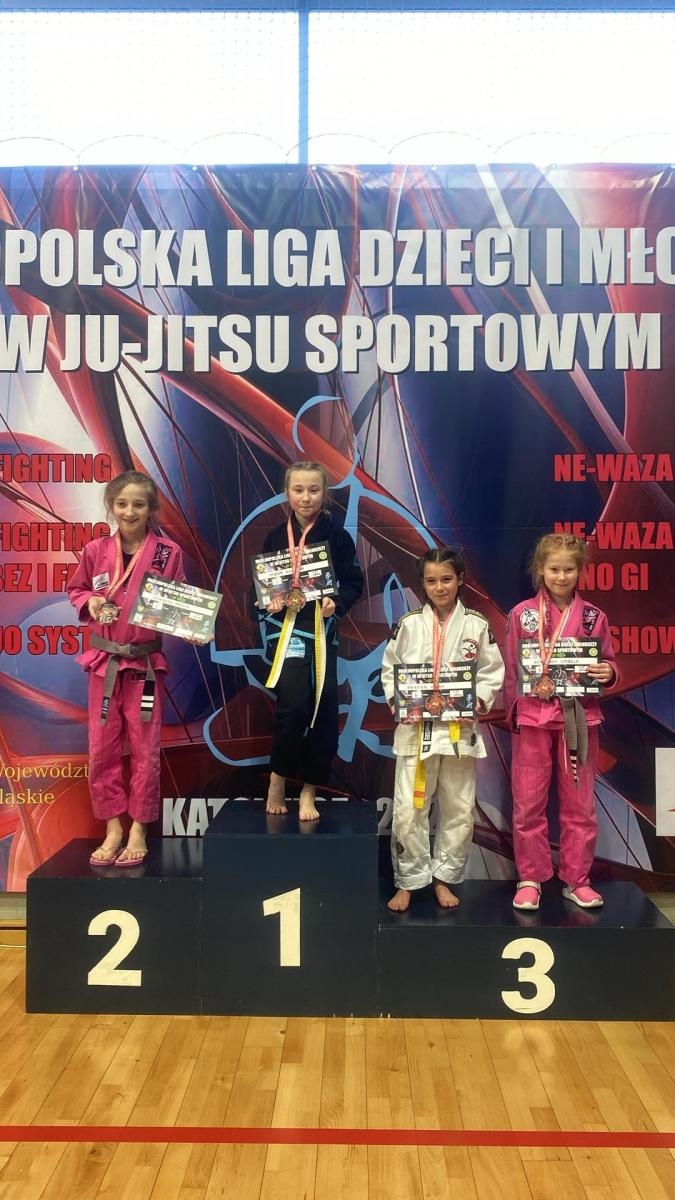 Zdjęcie w galerii na portalu naszwodzislaw.com: Akademia Top Team zdominowała Ligę dzieci i młodzieży w Katowicach wiadomości z regionu