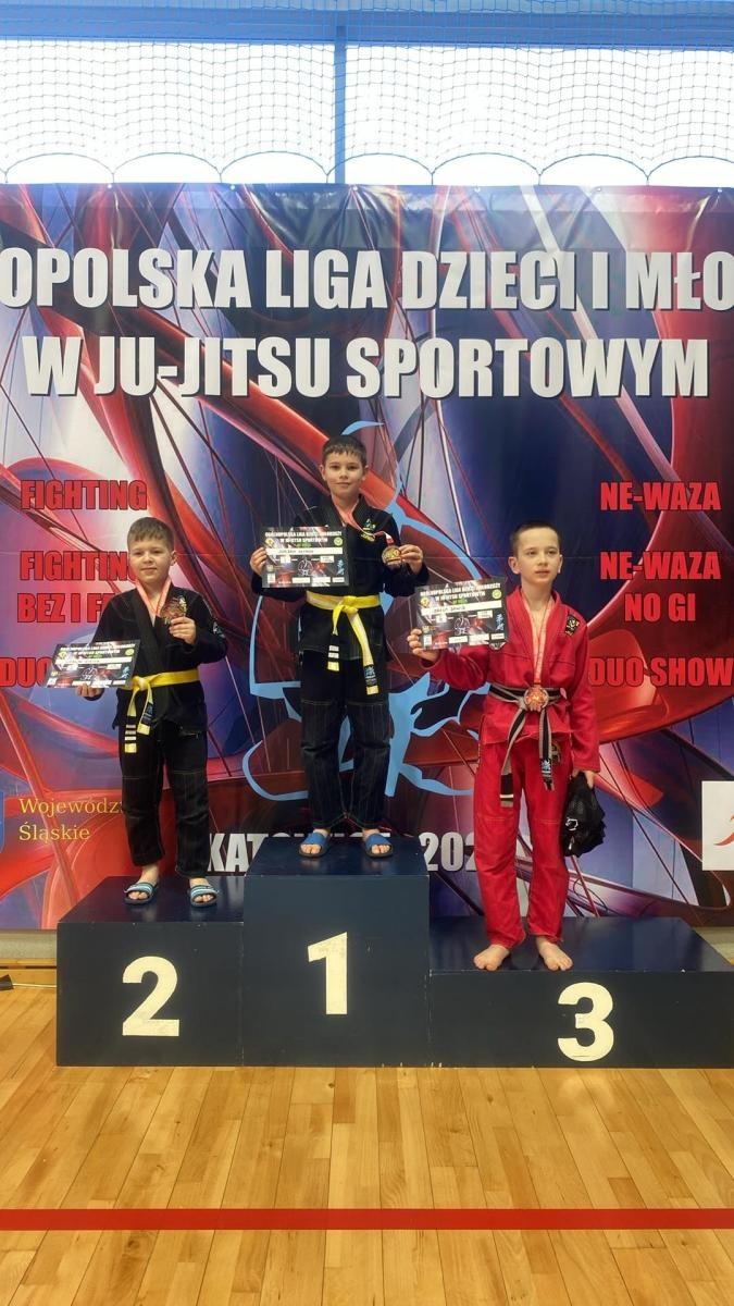 Zdjęcie w galerii na portalu naszwodzislaw.com: Akademia Top Team zdominowała Ligę dzieci i młodzieży w Katowicach wiadomości z regionu