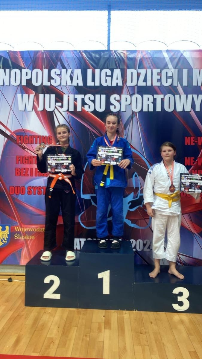 Zdjęcie w galerii na portalu naszwodzislaw.com: Akademia Top Team zdominowała Ligę dzieci i młodzieży w Katowicach wiadomości z regionu