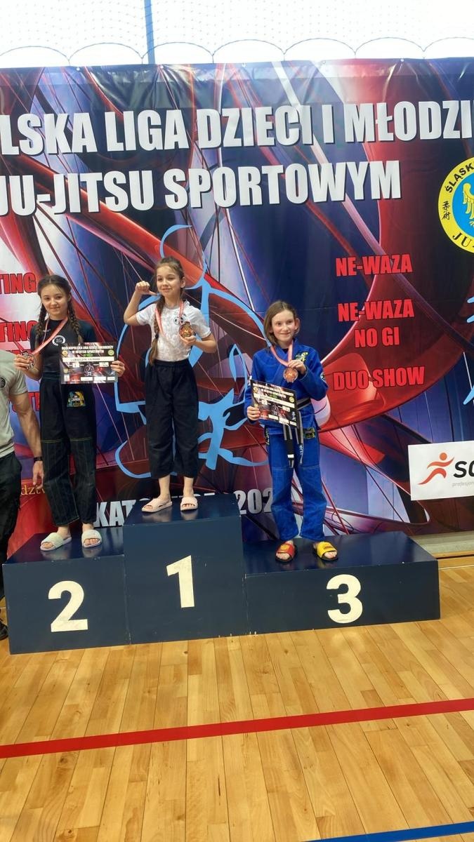 Zdjęcie w galerii na portalu naszwodzislaw.com: Akademia Top Team zdominowała Ligę dzieci i młodzieży w Katowicach wiadomości z regionu