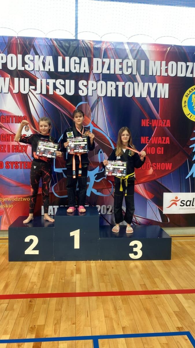 Zdjęcie w galerii na portalu naszwodzislaw.com: Akademia Top Team zdominowała Ligę dzieci i młodzieży w Katowicach wiadomości z regionu