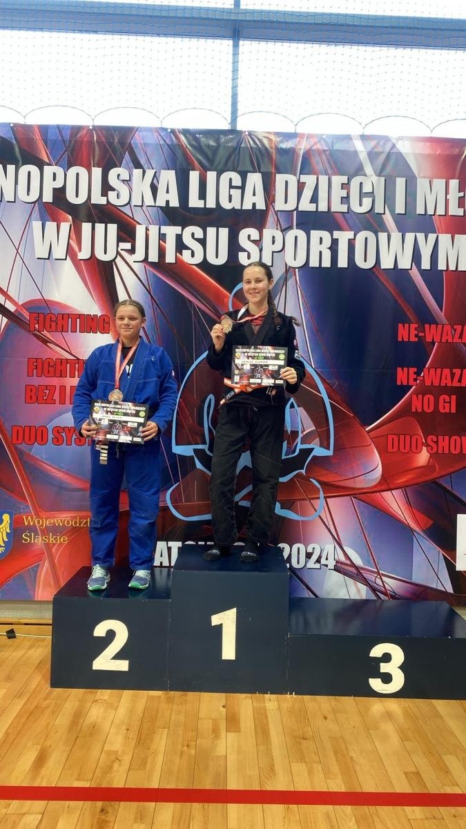 Zdjęcie w galerii na portalu naszwodzislaw.com: Akademia Top Team zdominowała Ligę dzieci i młodzieży w Katowicach wiadomości z regionu