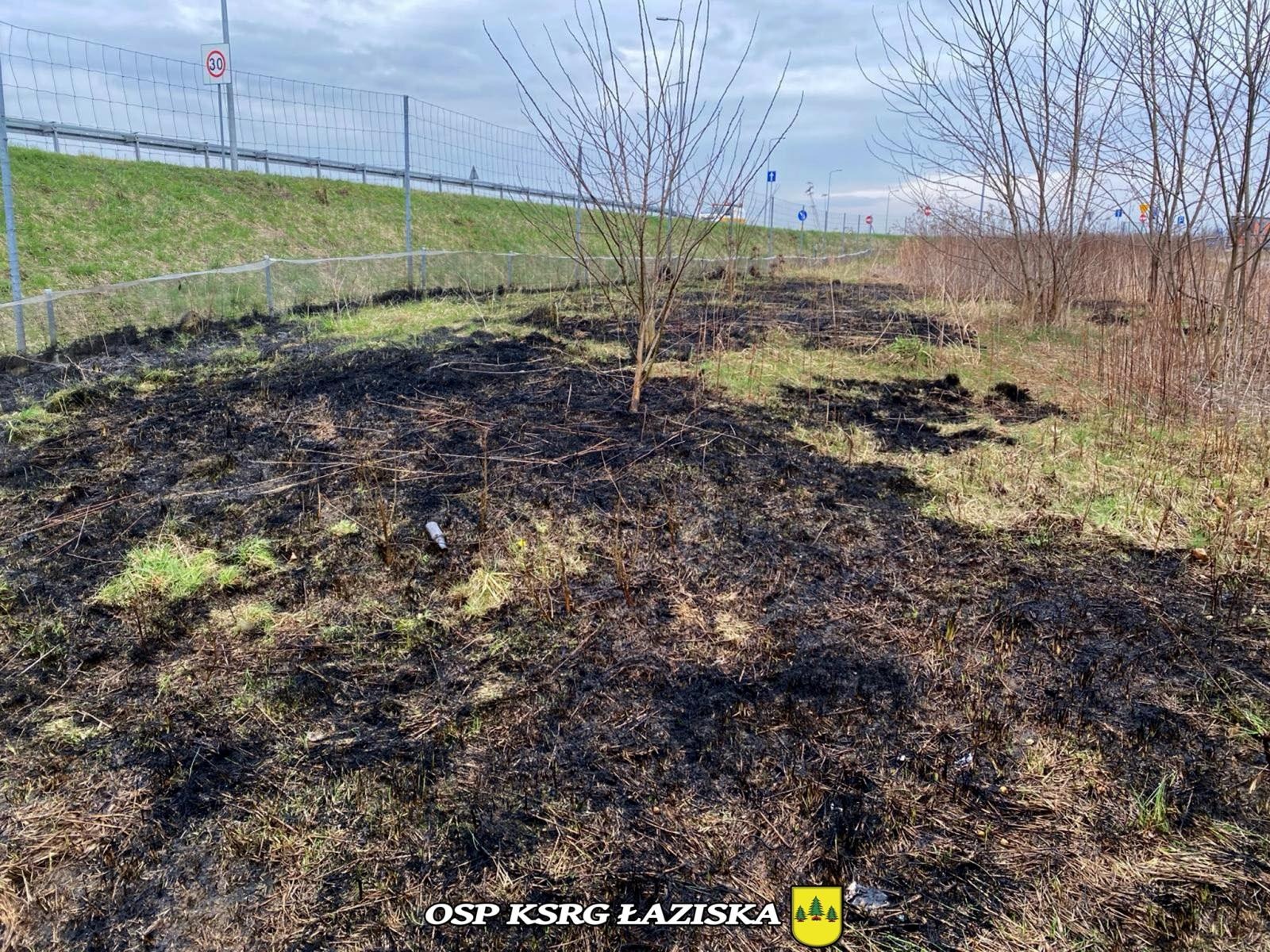 Zdjęcie w galerii na portalu naszwodzislaw.com: Dwa pożary traw w Skrzyszowie wiadomości z regionu